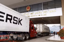 Más de 300 códigos de productos vietnamitas reciben licencia de exportación a China