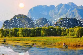Vietnam por reforzar restauración del ecosistema