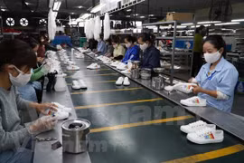 Exportaciones vietnamitas de calzado superan los 11 mil millones de dólares