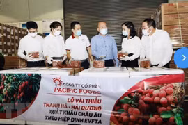 Vietnam exporta por primera vez lichi al mercado europeo bajo el EVFTA