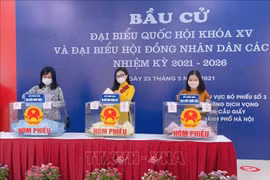 Medios de comunicación extranjeros publican artículos sobre las elecciones legislativas en Vietnam