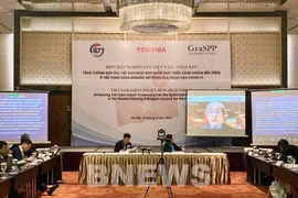 Vietnam y Japón cooperan en el desarrollo energético sostenible en la subregión del Mekong