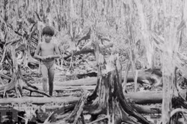 60 años de desastre del Agente Naranja en Vietnam: la guerra catastrófica