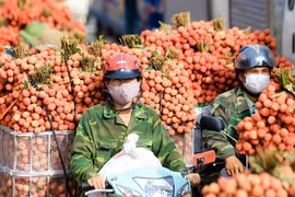 Vietnam y China buscan facilitar el comercio bilateral