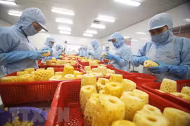 Buscan promover exportaciones agrícolas y pesqueras vietnamitas a Rusia y la Unión Económica Euroasiática
