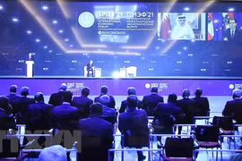 Comparte Vietnam en foro de San Petersburgo experiencias en enfrentamiento al COVID-19 