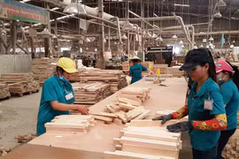 Vietnam, quinto exportador mundial de madera en 2020 