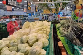 La lucha contra la pandemia no afecta el crecimiento económico