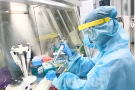 Vietnam reporta siete casos nuevos del COVID-19 en Hai Duong