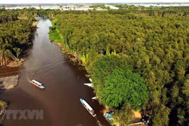 Organizan tours para fuerzas en primera línea de combate a la pandemia en Vietnam