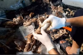 Desmantelan organización de narcotráfico en Vietnam