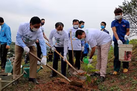 Embajada de Israel apoya reforestación en provincia vietnamita