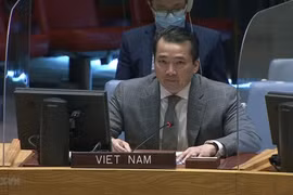Insta Vietnam a estabilizar situación en la República Democrática del Congo