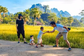 Celebrarán actividades culturales en ocasión del Día de la Familia de Vietnam