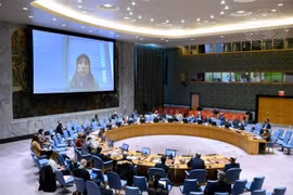Vietnam exhorta a lograr solución política en Siria