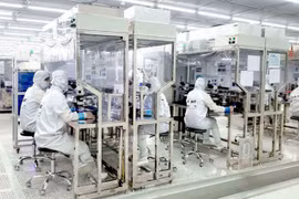 Inversiones vietnamitas en el exterior suman 646 millones de dólares