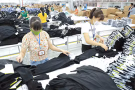 Provincia vietnamita de Phu Tho experimenta crecimiento notable de exportaciones