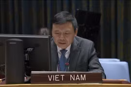 Vietnam reafirma compromiso con el derecho internacional