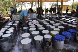 Vietnam en undécimo lugar en lista de proveedores de caucho de Estados Unidos
