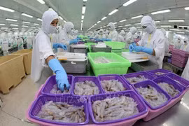 Industria de procesamiento de camarón de Vietnam trabaja por cumplir objetivo en 2021