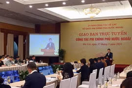 Vietnam fortalece cooperación con organizaciones no gubernamentales foráneas 
