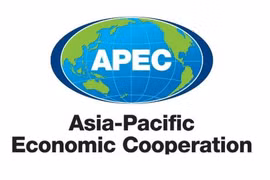 APEC debate reformas estructurales para la recuperación económica en pos del COVID-19