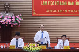 Exigen a provincia de Nghe An impulsar avance económico