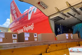 Arriba a Ciudad Ho Chi Minh 200 ventiladores mecánicos de Alemania 