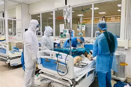 Debaten medidas de tratamiento adecuadas para los pacientes del COVID-19 en estado crítico