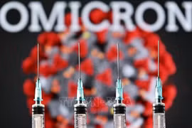 Exigen fomentar medidas preventivas ante riesgo de penetración de Ómicron en Vietnam