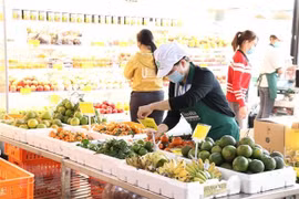 Perspectivas positivas para esfera de alimentación de Vietnam en contexto pandémico