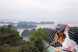 Vietnam por fortalecer la gestión de aves silvestres migratorias