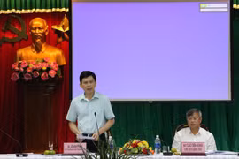 Completarán preparativos de terreno para proyecto del aeropuerto vietnamita de Long Thanh