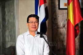 Saludan comunidades vietnamitas en Cuba y Malasia llegada del Año Nuevo 