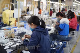Cambio de inversión contribuirá a recuperación económica de Vietnam, según experto de Asia House