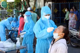 Vietnamitas en Australia y Francia contribuyen a lucha contra el COVID-19 en su país de origen