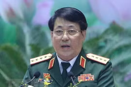 Robustecen nexos en defensa entre Vietnam y Rusia 