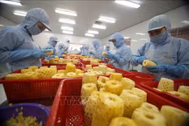 Presentan a empresas vietnamitas guía de exportación al mercado chino