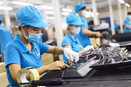 Respaldan a trabajadores y empleadores vietnamitas afectados por el COVID-19