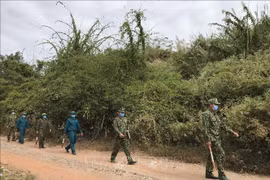 Vietnam colabora con otros países en fortalecimiento de lucha contra migración ilegal 