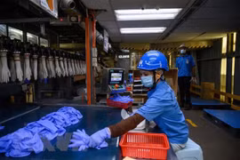 ASEAN y Corea del Sur refuerzan cooperación en trabajo y empleo 