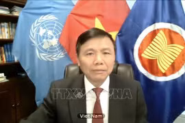 Vietnam apoya el proceso de paz en Afganistán 