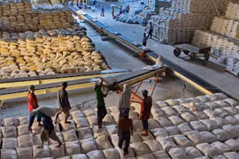 Vietnam exporta 638 mil toneladas de arroz al extranjero en primer bimestre