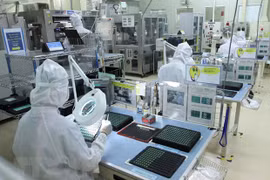 Empresas vietnamitas buscan mejorar exportaciones a España
