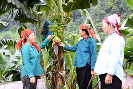 Promueven en Vietnam implementación de políticas de reducción sostenible de la pobreza