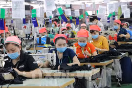 Aumenta inversión extranjera en provincia vietnamita de Dong Nai