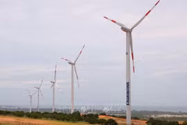 Vietnam por impulsar desarrollo de energía eólica marina