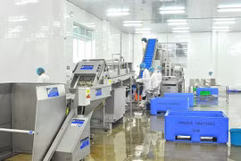 Exportaciones de mariscos de Vietnam a España mantienen un crecimiento constante