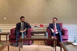 Impulsan lazos Vietnam- India en Electrónica y Tecnología de la Información