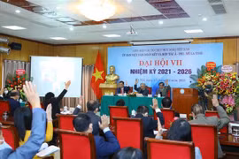 Eligen a nuevo presidente del Comité de Solidaridad Asia-África-América Latina de Vietnam